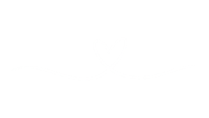 ČLOVEK – VRHUNEC INTELIGENCE. TAKO INTELIGENTEN, DA USTVARJA LASTEN KONEC. (2560 x 1440 px)
